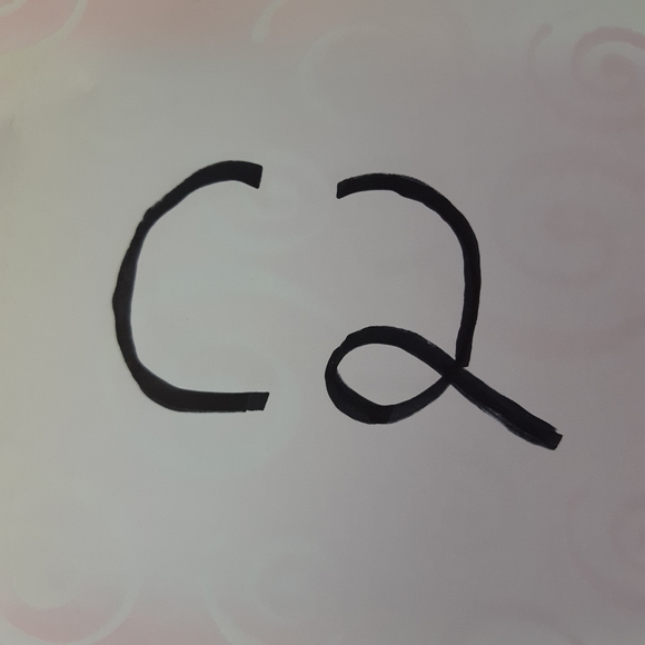 NWT New Lee Bermuda Denim Jean Shorts 26W Plus - Picture 7 of 7